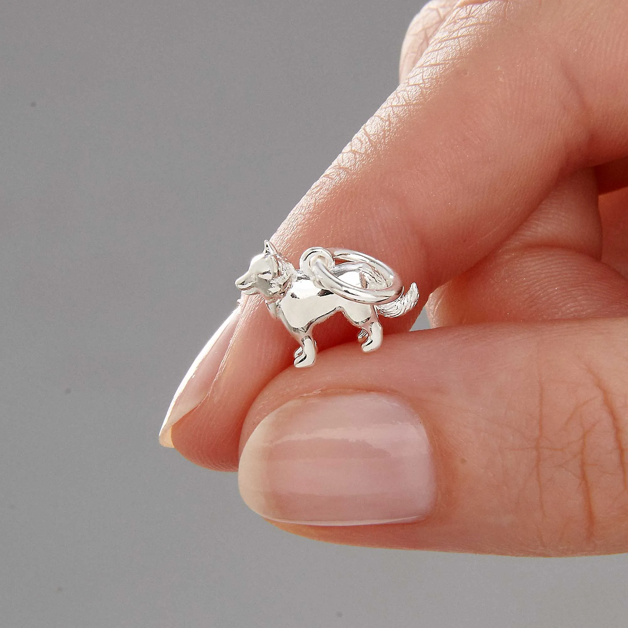 Border Collie Silver Dog Charm