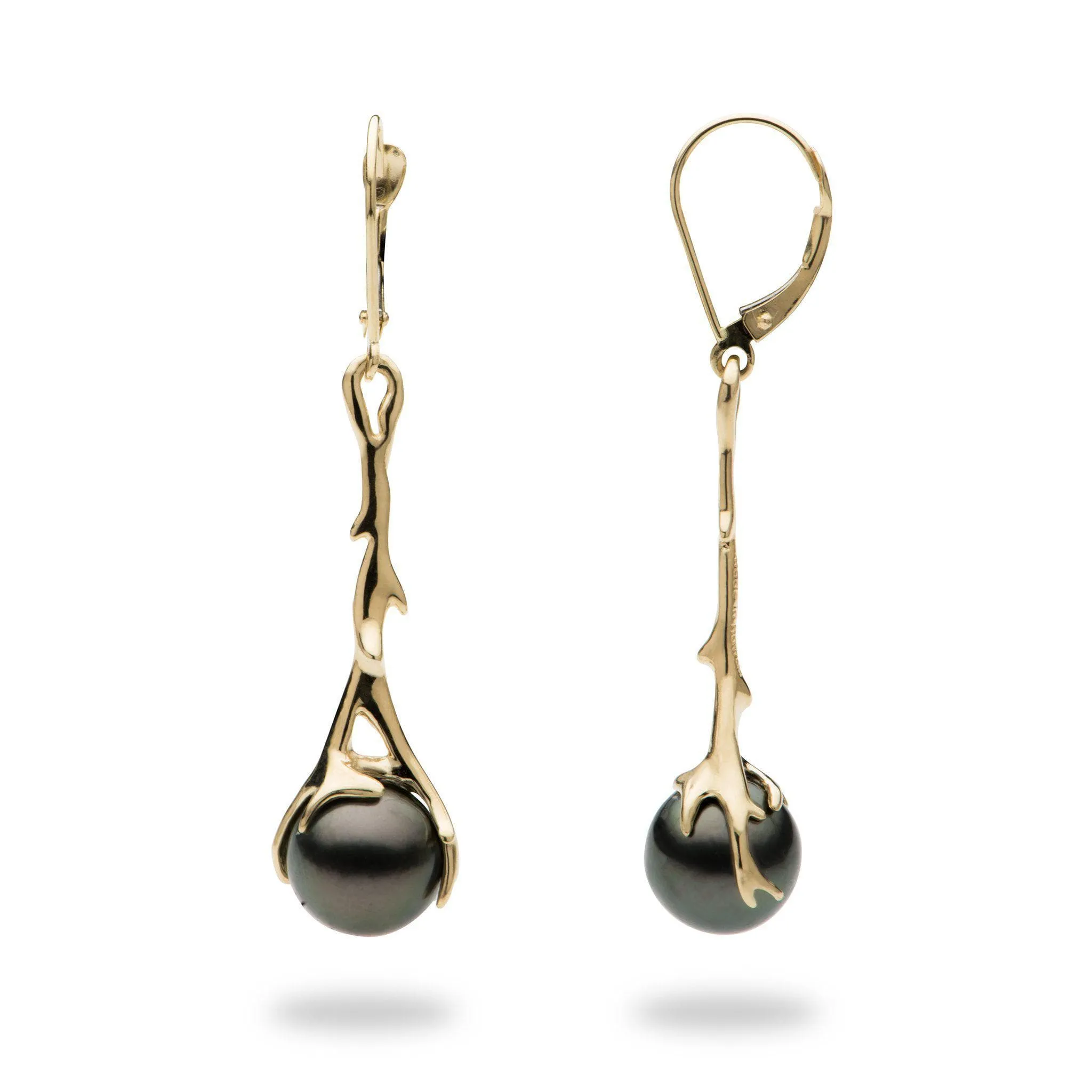 Heritage Tahitian Black Pearl Earrings in Gold - 9-10mm