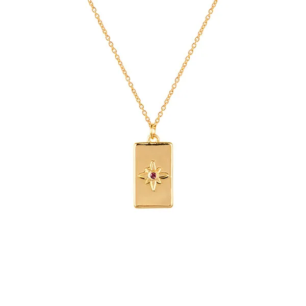 January Birthstone Necklace