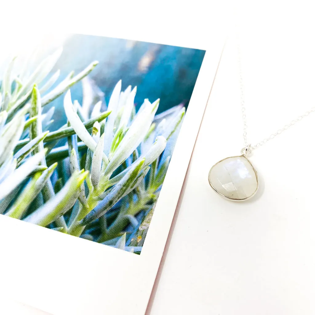 Melanie Drop Moonstone Necklace | Silver