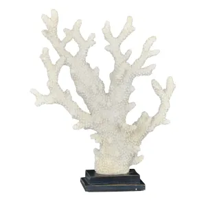 Natural Coral Statue